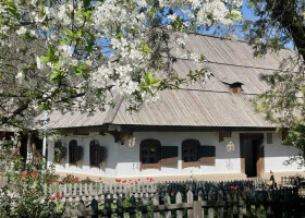 Тематична екскурсія «Квітами багата Україна-мати» в рамках благодійної ініціативи на садибі І.Котляревського