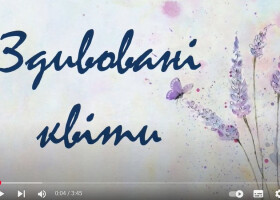 Здивовані квіти