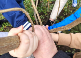 Дерева турботи у парку «Перемога»