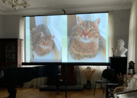 Щасливі історії котів музею Короленка