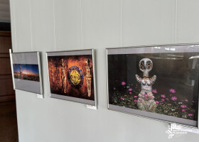 Від палеоліту до середньовіччя: фотопроєкт «Історія України» представили у ЦКД