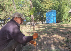 Парк «Перемога» продовжив висаджувати калину на честь наших воїнів