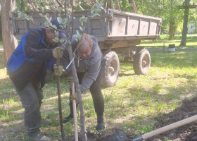 Живий парк - жива Полтава!