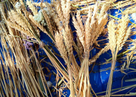 Майстер-клас з виготовлення Дідуха