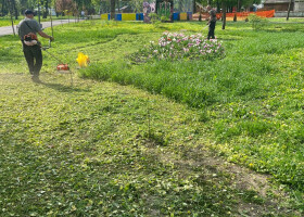 Чистота та затишок у парку "Перемога"