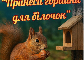 «Принеси горішки для білочок»