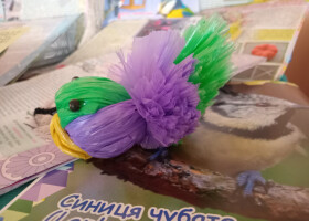 1 квітня: Міжнародний день птахів