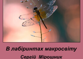 «В лабіринтах макросвіту»
