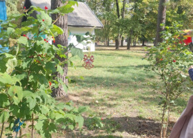 Маленькі символи великої вдячності: майстер-клас у парку культури та відпочинку "Перемога"