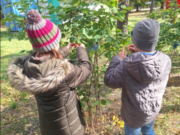 Маленькі символи великої вдячності: майстер-клас у парку культури та відпочинку "Перемога"