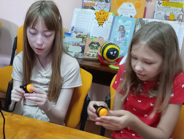 Майстерклас «Бджоломобільчик»
