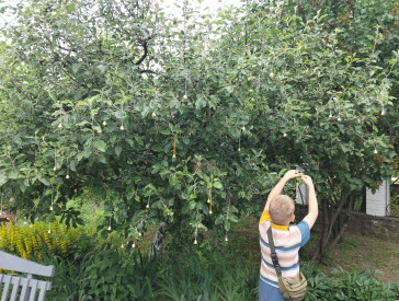 "Дитячий голос — дитячий дзвін"