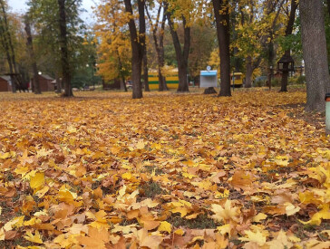 Осінь в парку