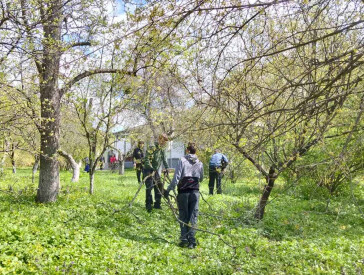 Толока на садибі В.Г.Короленка
