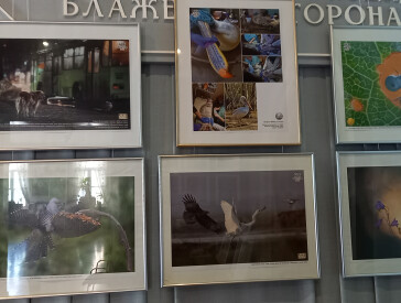 Презентація  виставки репортерської фотографії LIFE PRESS PHOTО