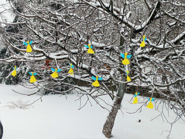 Тиха акція «Ангели пам’яті»