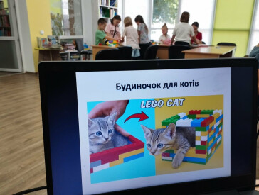 Літо, котики й гарний настрій!