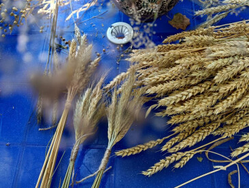 Майстер-клас з виготовлення Дідуха