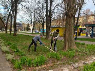 Весняна толока 2024