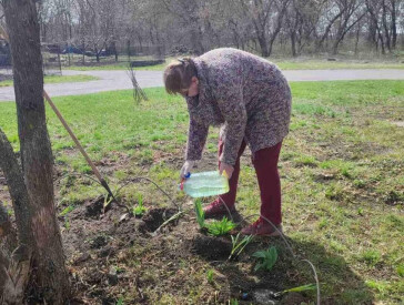 Заклад культури починається з подвір’я