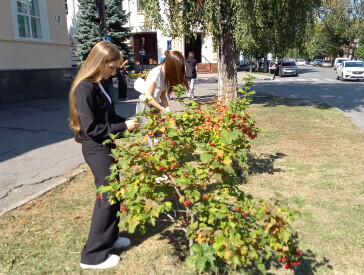 "Память, що проростає у майбутнє"