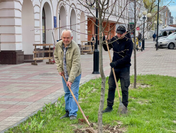 Весняна толока 2024