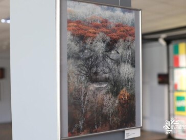 Від палеоліту до середньовіччя: фотопроєкт «Історія України» представили у ЦКД