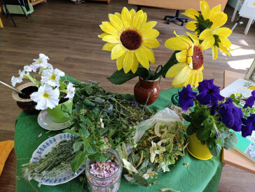 Літній настрій у чашці чаю: пізнавальна зустріч у бібліотеці