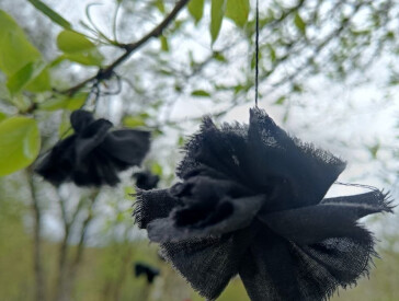 Флешмоб «Квітка пам’яті», присвячений 40-м роковинам Чорнобильської катастрофи