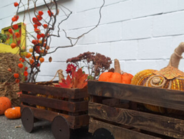 Осінь в парку