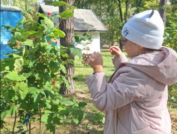 Маленькі символи великої вдячності: майстер-клас у парку культури та відпочинку "Перемога"