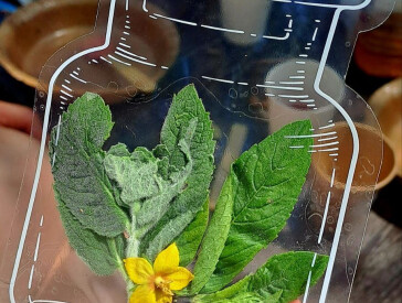 Оздоровчий ретрит "Мандрівка до себе" в музеї В.Г. Короленка