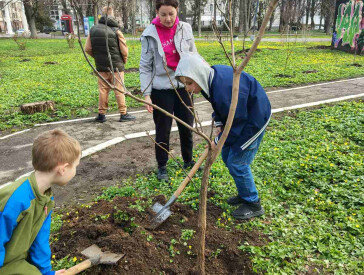 Дерева турботи у парку «Перемога»