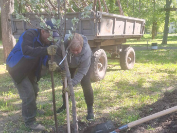 Живий парк - жива Полтава!