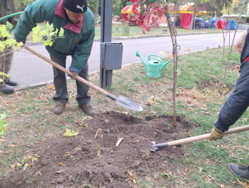 Патріотичний захід  у парку “Перемога": “Доземний уклін тобі, захиснику”