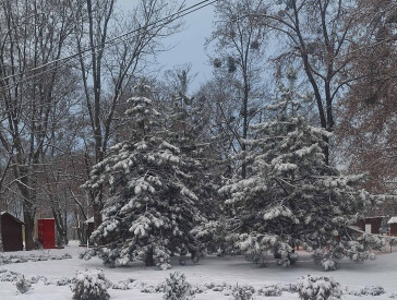 Казкова зима в парку "Перемога"