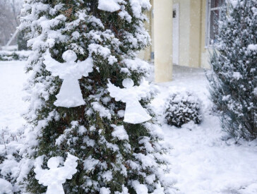 Тиха акція «Ангели пам’яті»