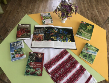 Магія трав у сучасному житті