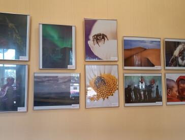 “Фотографічні мости між Німеччиною та Україною”