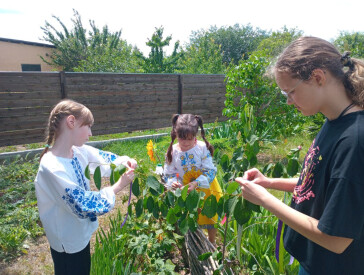 Ой на Івана, та й на Купайла