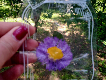 Оздоровчий ретрит "Мандрівка до себе" в музеї В.Г. Короленка