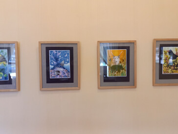 “Графічний всесвіт” Олени Перепелиці