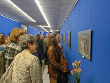 «Пастельна симфонія кольору та світла»