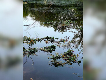 Етнографічне дійство «Літнє сонцестояння: традиції наших предків»