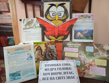 Сова – чарівна птаха з казки