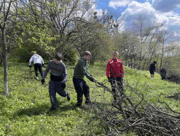 Толока на садибі В.Г.Короленка