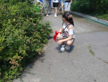 Скарби Короленківської садиби