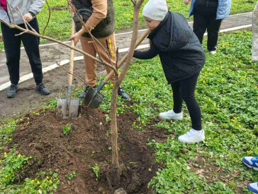 Дерева турботи у парку «Перемога»