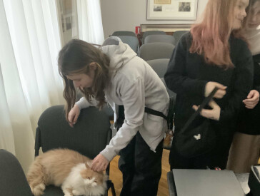 Щасливі історії котів музею Короленка