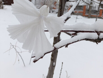 Тиха акція «Ангели пам’яті»